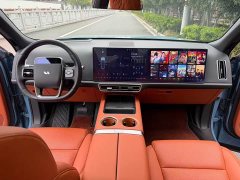 Li Auto Ideal L9 2022 Max - фото 13
