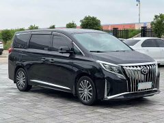 Trumpchi M8 Master Series 390T Premium Edition - фото 3