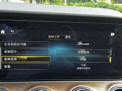 Mercedes-Benz E-Class E 300 L Fashion - фото 19