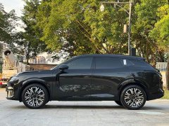 Lynk & Co 08 EM-P 210 four-wheel drive performance Ultra H7 - фото 4