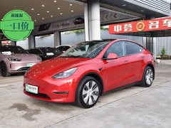 Tesla Model Y long-range all-wheel drive version 3D7 - фото 1