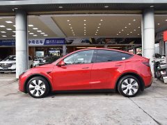 Tesla Model Y long-range all-wheel drive version 3D7 - фото 4