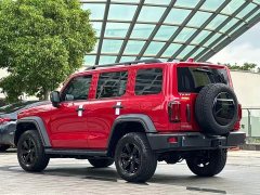 Tank 300 Off-Road Version 2.0T Conqueror - фото 6