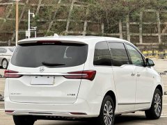 Buick GL8 Land Business Class 652T Luxury - фото 12