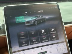Maybach S-Class facelift S 480 4MATIC - фото 18