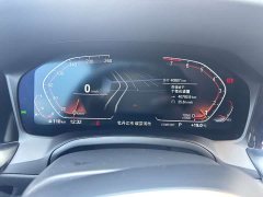 BMW 3 Series 320Li M Sports Package - фото 19