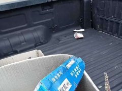 Ford Ranger 2023 Explorer 4WD automatic version gasoline - фото 8