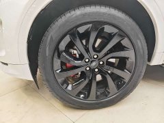 Lexus Discovery Sport facelift 249PS R-Dynamic S performance version 5 seats - фото 13