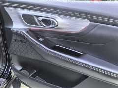 GAC Trumpchi GS8 2022 Pilot Series 2.0TGDI 2WD Luxury Smart Connectivity Edition (7-Seater) - фото 14
