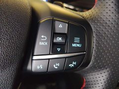 Lynk & Co Ruiji 2024 EcoBoost 245 four-wheel drive ST-Line Pro - фото 15