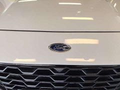 Lynk & Co Ruiji 2024 EcoBoost 245 four-wheel drive ST-Line Pro - фото 5