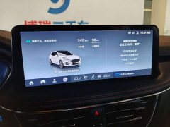 Lynk & Co Ruiji 2024 EcoBoost 245 four-wheel drive ST-Line Pro - фото 9