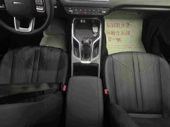 Haval H5 2023 2.0T automatic four-wheel drive LinkedIn gasoline - фото 15