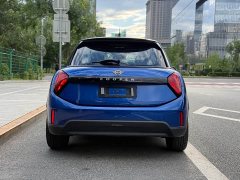 MINI 2025 2.0T COOPER S Artist Five-Door Edition - фото 5