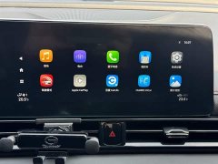 Trumpchi Shadow Leopard 2021 270T DCT J15 version - фото 20