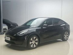 Tesla Model Y rear-wheel drive version - фото 1