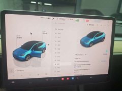 Tesla Model Y rear-wheel drive version - фото 10