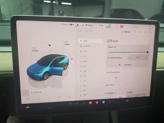 Tesla Model Y rear-wheel drive version - фото 12