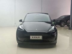 Tesla Model Y rear-wheel drive version - фото 2