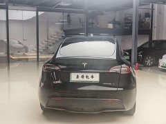 Tesla Model Y rear-wheel drive version - фото 6