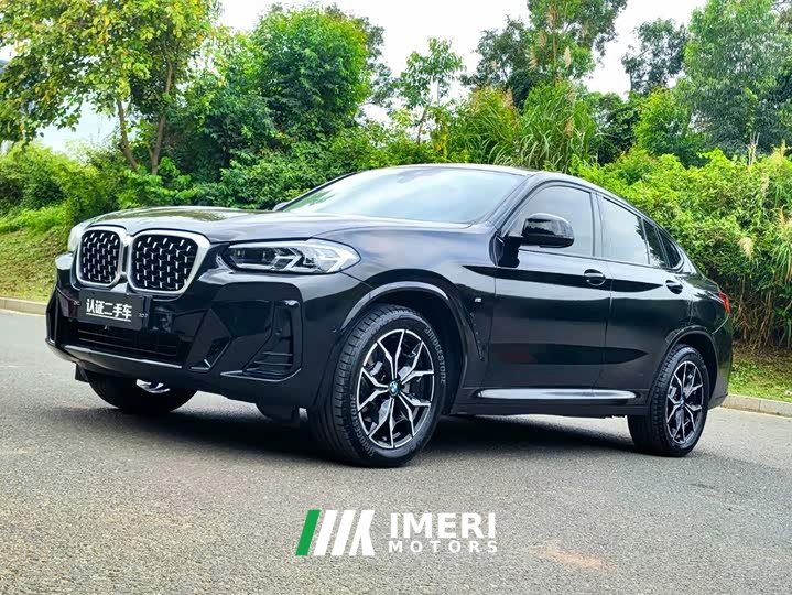 BMW X4 xDrive25i M Sport Package - автомобиль из Китая