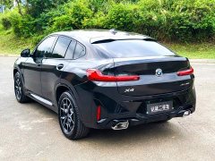 BMW X4 xDrive25i M Sport Package - фото 5