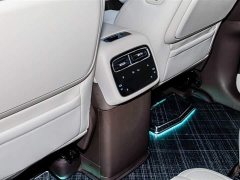 Denza N8L Prestige Edition - фото 10