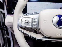 Denza N8L Prestige Edition - фото 14