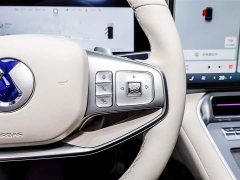 Denza N8L Prestige Edition - фото 15