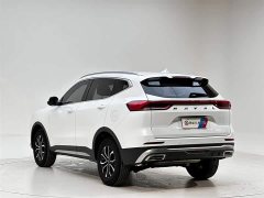 Haval H6 2021 Guochao Edition 1.5T Automatic Urban Edition - фото 19