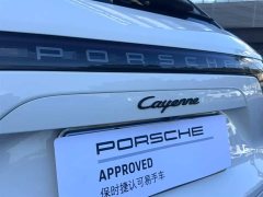 Porsche Cayenne 2023 Cayenne 3.0T Platinum Edition - фото 10