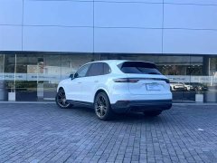 Porsche Cayenne 2023 Cayenne 3.0T Platinum Edition - фото 8