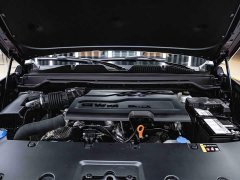 Haval H9 2024 2.4T diesel four-wheel drive extreme version - фото 7