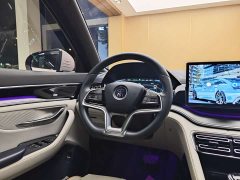 BYD Song PLUS New Energy 2021 DM-i 51KM Honor Type - фото 14