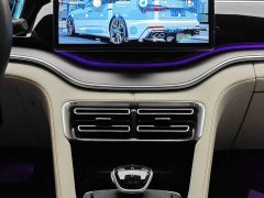 BYD Song PLUS New Energy 2021 DM-i 51KM Honor Type - фото 19