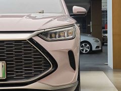 BYD Song PLUS New Energy 2021 DM-i 51KM Honor Type - фото 2
