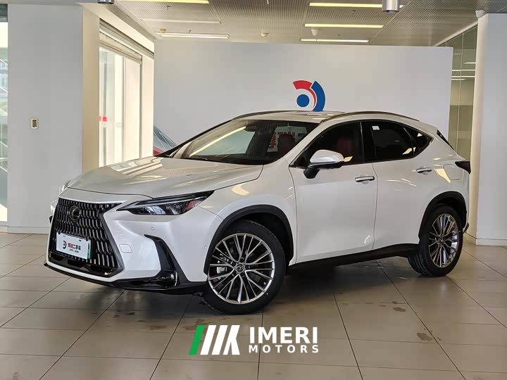 Lexus NX New Energy 400h Changling Edition