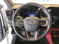 Lexus NX New Energy 400h Changling Edition - фото 11