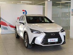 Lexus NX New Energy 400h Changling Edition - фото 3
