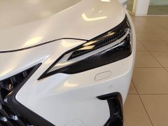 Lexus NX New Energy 400h Changling Edition - фото 6