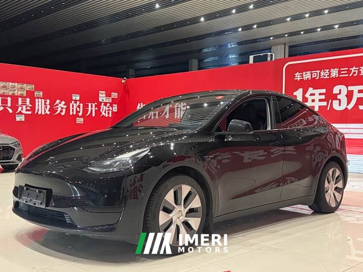 Tesla Model Y rear-wheel drive version - автомобиль из Китая