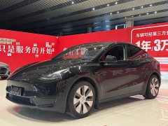 Tesla Model Y rear-wheel drive version - фото 1
