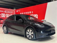 Tesla Model Y rear-wheel drive version - фото 3