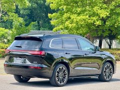 AITO M7 1.5T Intelligent Driving RWD Ultra 5-Seater - фото 18