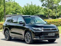 AITO M7 1.5T Intelligent Driving RWD Ultra 5-Seater - фото 3
