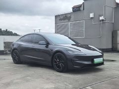 Tesla Model 3 2024 Performance All-Wheel Drive - фото 3