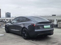 Tesla Model 3 2024 Performance All-Wheel Drive - фото 5