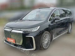 Voyah Lantu Dreamer 2025 PHEV four-wheel drive premium Kunpeng version - фото 1