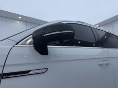 Lexus Tanyue 280TSI two-wheel drive luxury Plus advanced version - фото 13