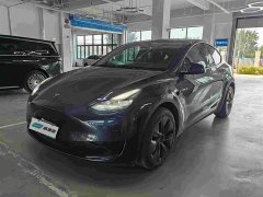 Tesla Model Y rear-wheel drive version - фото 1